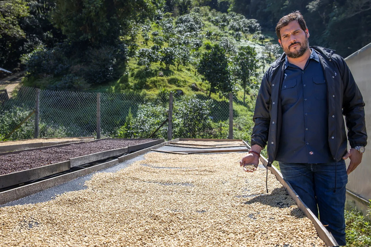 Productor observando el secado del café al sol en Boquete