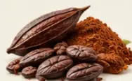 Cocoa