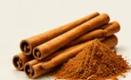 Canela